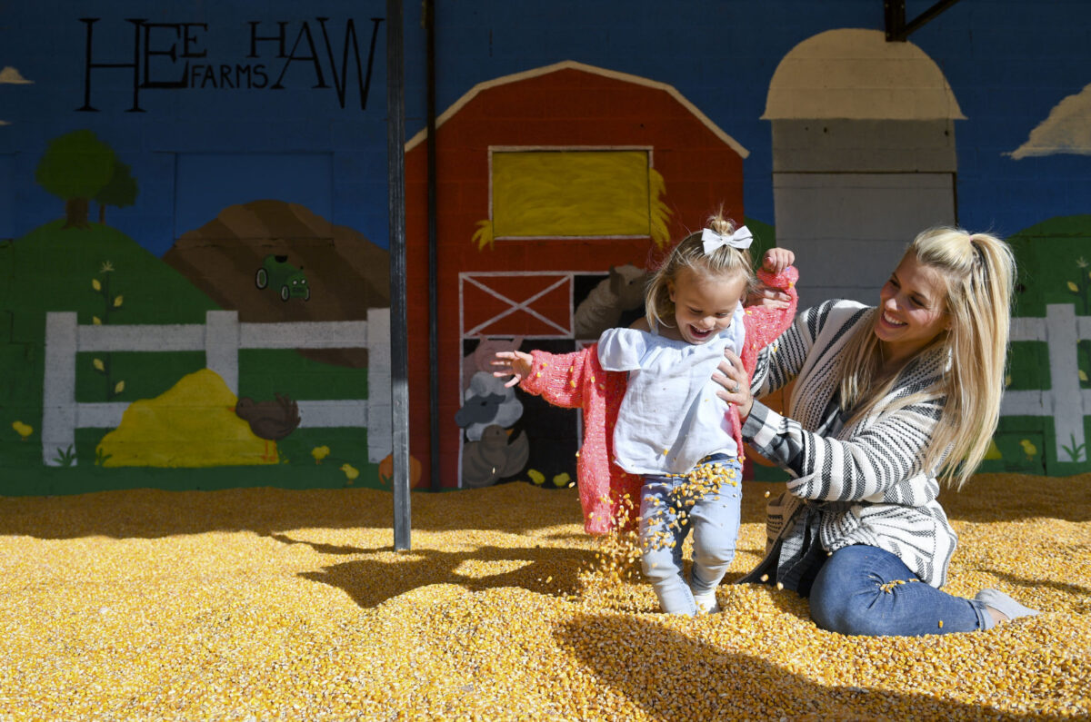 Hee Haw Farms opens farm to community News, Sports, Jobs Daily Herald